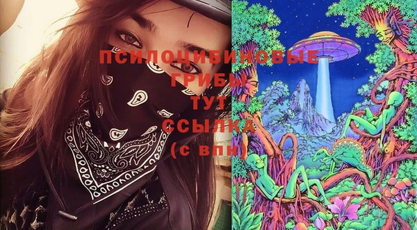 спайс Липки