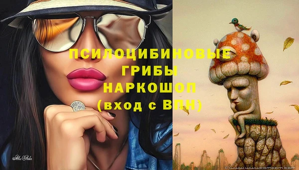 хмурый Гусь-Хрустальный