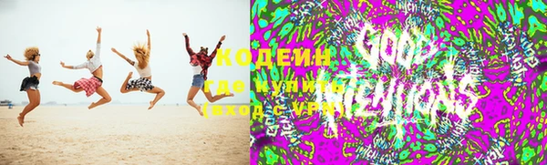хмурый Гусь-Хрустальный