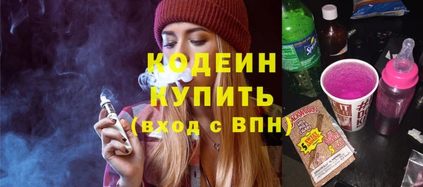 хмурый Гусь-Хрустальный