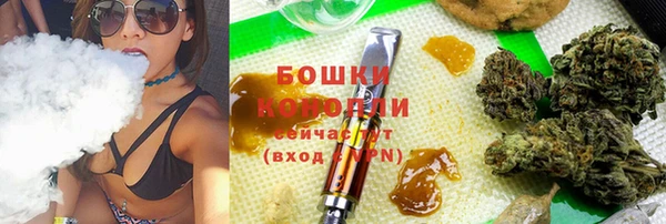 хмурый Гусь-Хрустальный