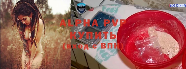 хмурый Гусь-Хрустальный
