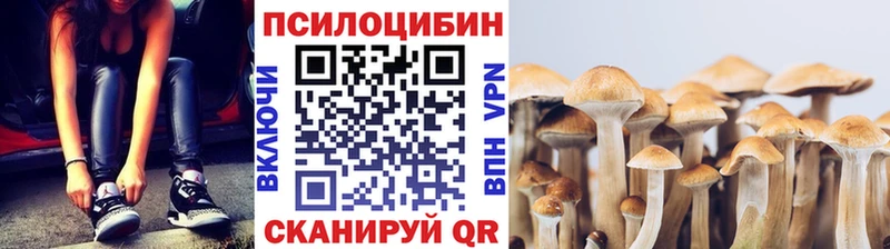 как найти закладки  Печоры  Псилоцибиновые грибы Psilocybine cubensis 