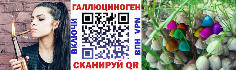 Галлюциногенные грибы Cubensis Печоры